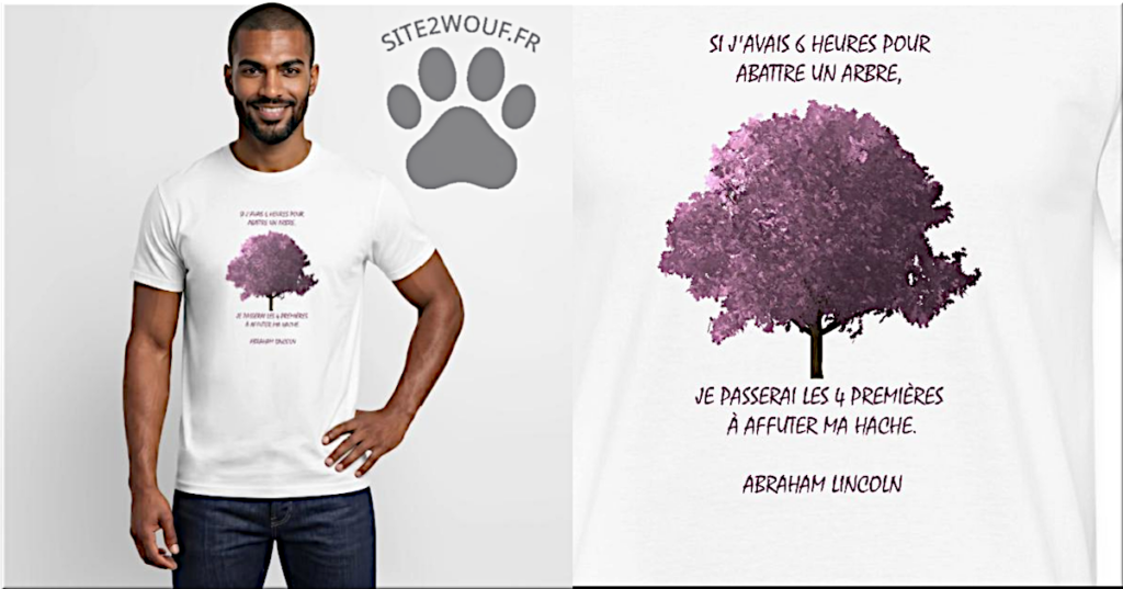 Si j'avais 6 heures pour abattre un arbre, je passerai les 4 premières à affûter ma hache.  Abraham Lincoln