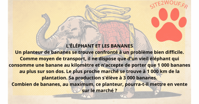Rétro Math : L'éléphant et les bananes