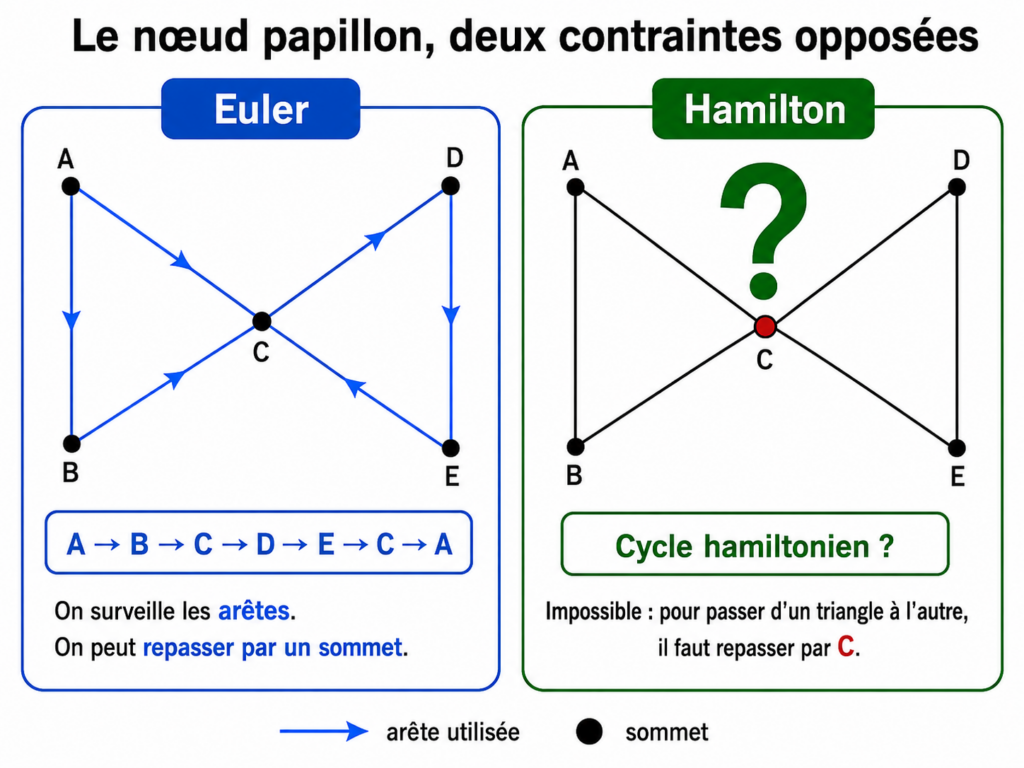 Le nœud papillon : deux contraintes opposés