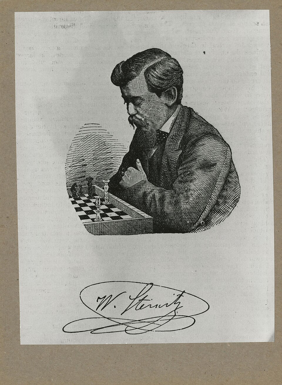 Portrait de Wilhelm Steinitz