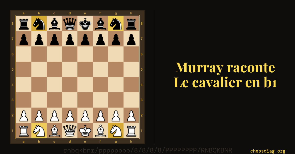 Position de départ des échecs, les quatre cases des cavaliers — b1, g1, b8, g8 — mises en évidence