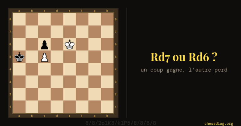 Changer de bloqueur : finale de rois et pions : le roi blanc en e6 doit choisir entre d7 et d6
